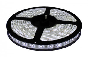 Taśma LED biała zimna 12V 3528 5m/600 IP65